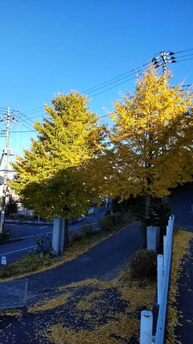 師走のお客様_c0155326_15560361.jpg
