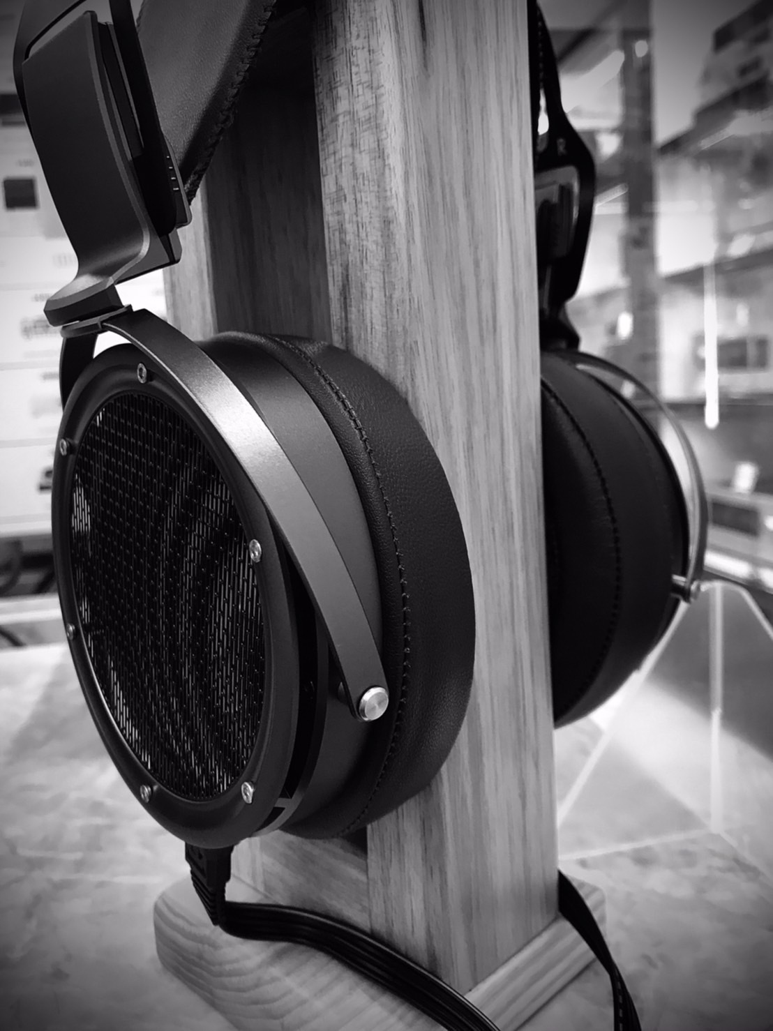 Audeze CRBN　そして　STAX SR-X9000　静電型ヘッドフォンの私的インプレッション：強さの定義_e0267928_23041949.jpg