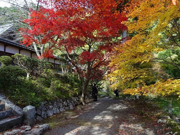 龍穏寺の紅葉_b0299042_20013452.jpg