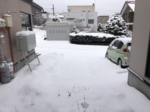 11/29 病院をハシゴする_f0057955_17124694.jpg