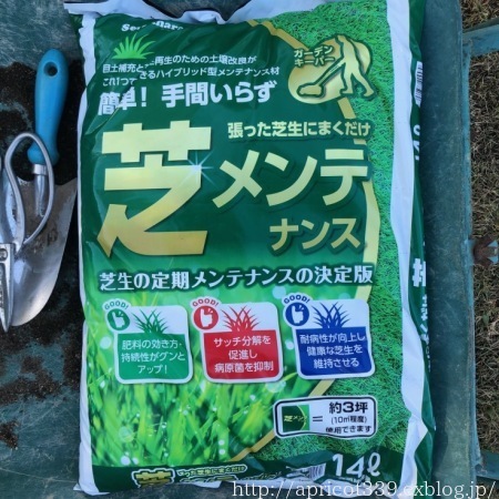 秋の芝生のメンテナンス_c0293787_21430751.jpg