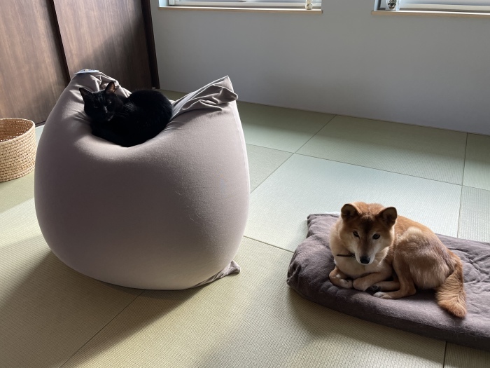 T様邸 1年点検_d0077992_09364594.jpeg