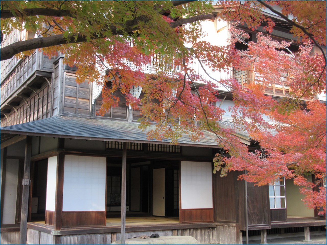 掛川城 竹の丸と掛川古城跡　見学_c0376508_14064982.jpg