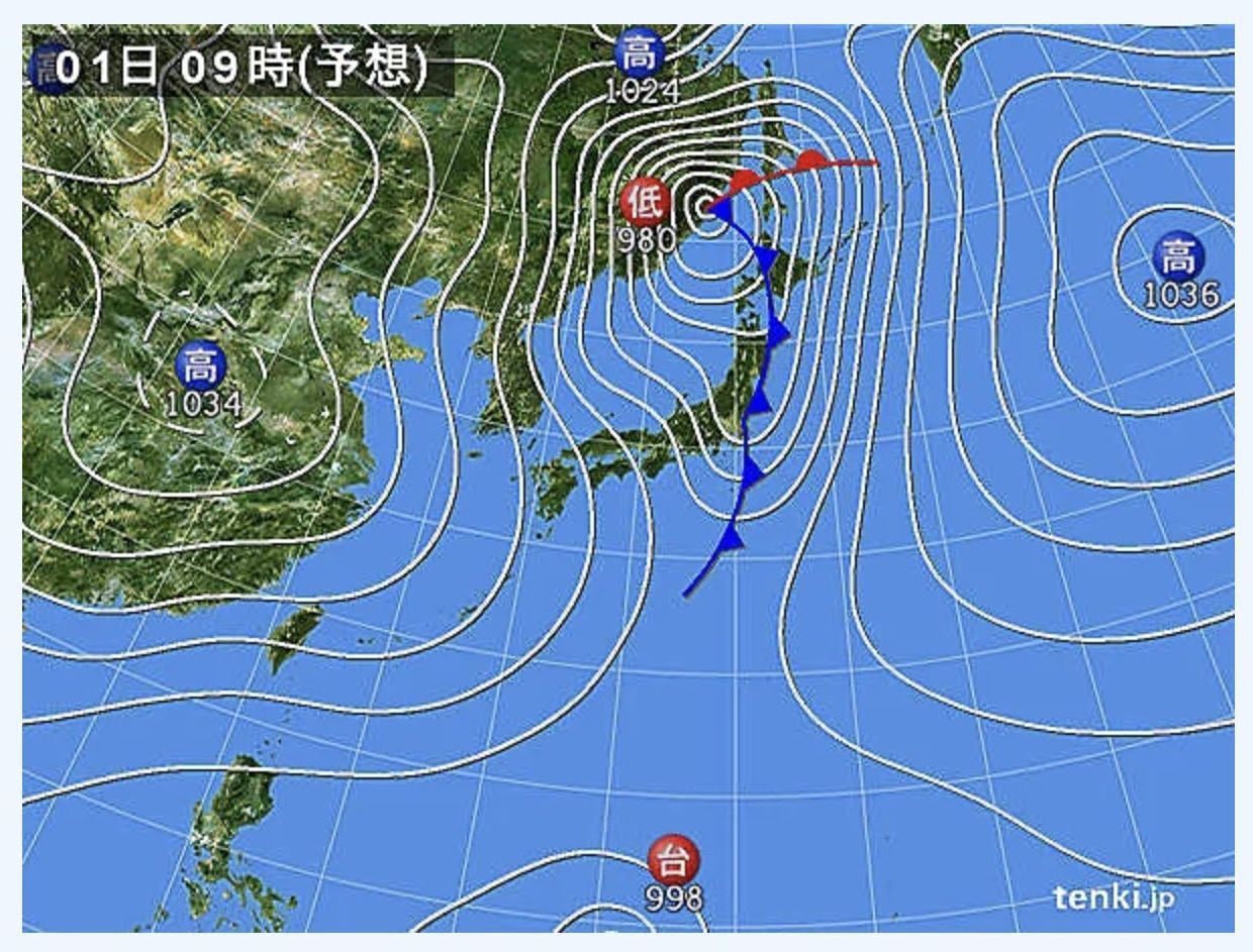11月最後の一日は小春日和_c0025115_21343250.jpg