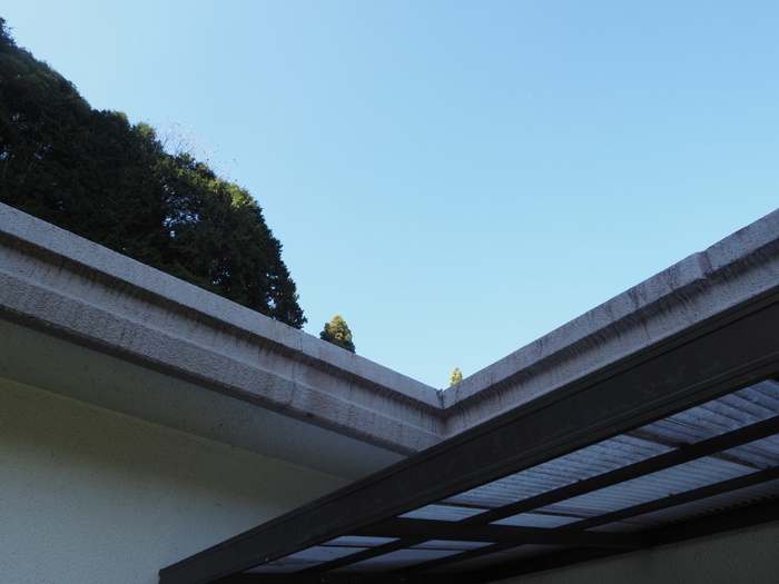 いいお天気_c0116915_00001431.jpg