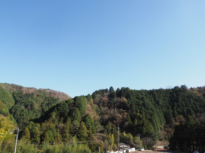 いいお天気_c0116915_00003014.jpg