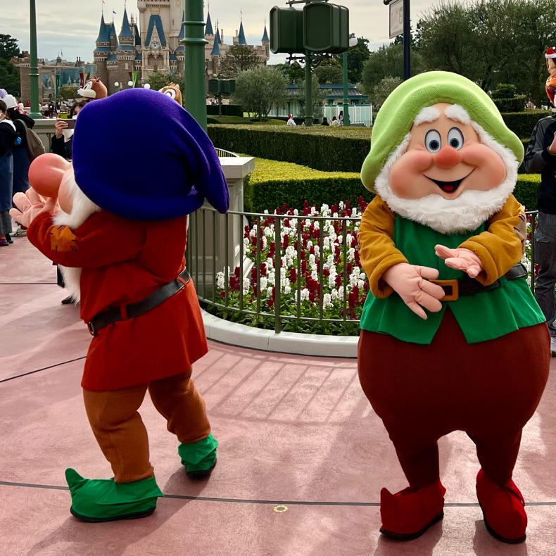 21年11月tdl 4 ミッキーワッフルはテイクアウトで要予約 パンダのお気に入り