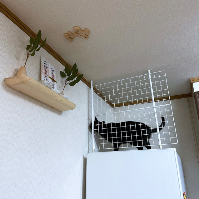 勝利?!_d0355333_20161708.jpg