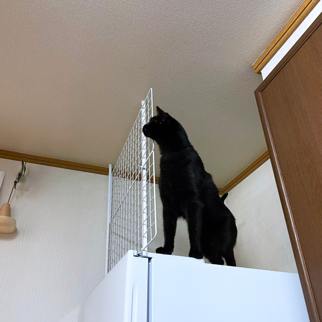 勝利?!_d0355333_20161851.jpg