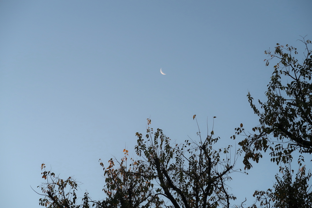 澄んだ冬の空に昇る朝日と白い月_f0234936_23571205.jpg