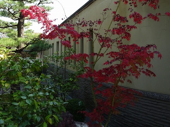 松花堂庭園の紅葉_b0299042_09591334.jpg