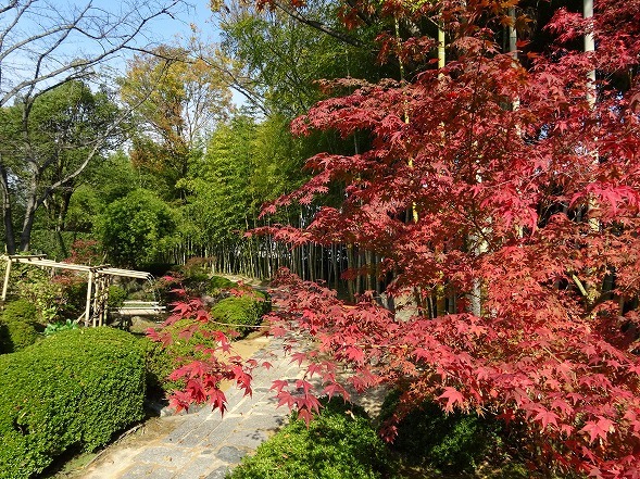 松花堂庭園の紅葉_b0299042_09593110.jpg