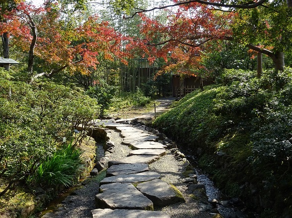 松花堂庭園の紅葉_b0299042_10000217.jpg