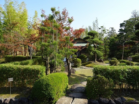 松花堂庭園の紅葉_b0299042_10002652.jpg