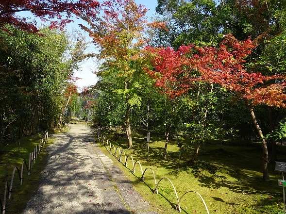 松花堂庭園の紅葉_b0299042_10005842.jpg