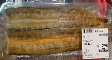ぎんぼ またはギンポ の天ぷら うまこの天袋
