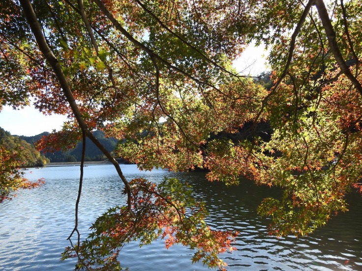 『伊自良湖の秋風景』_d0054276_20194928.jpg