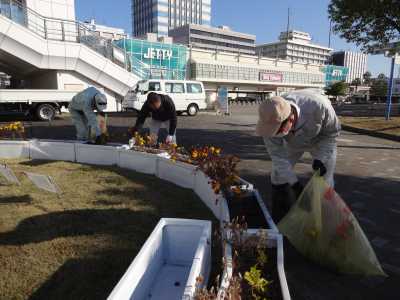 名古屋港水族館前のプランター花壇の植栽R3.11.17_d0338682_08501685.jpg