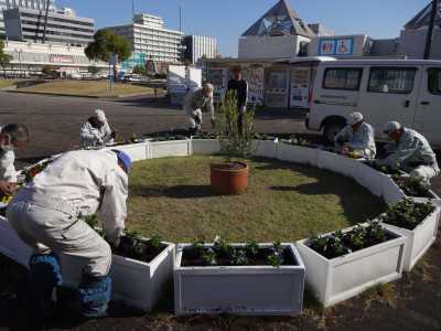 名古屋港水族館前のプランター花壇の植栽R3.11.17_d0338682_08541750.jpg