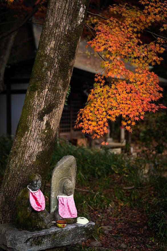 暖色系の定光寺_d0353489_14272498.jpg