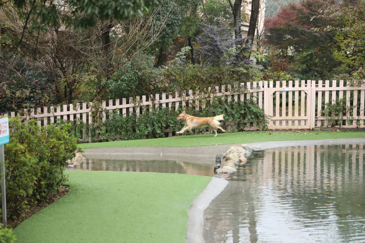 ドギーズアイランド(2)_b0275998_12290137.jpg