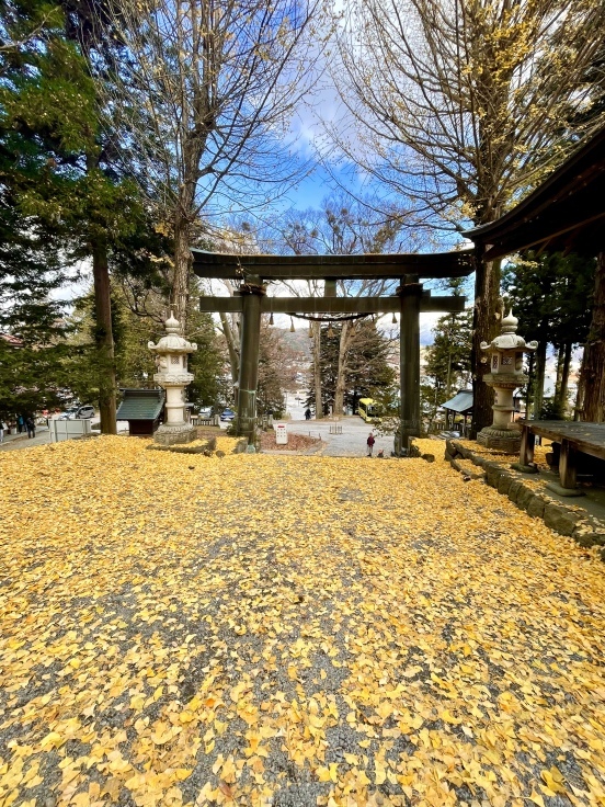諏訪大社巡り前半★諏訪湖への旅 11/23_c0212604_06180021.jpeg