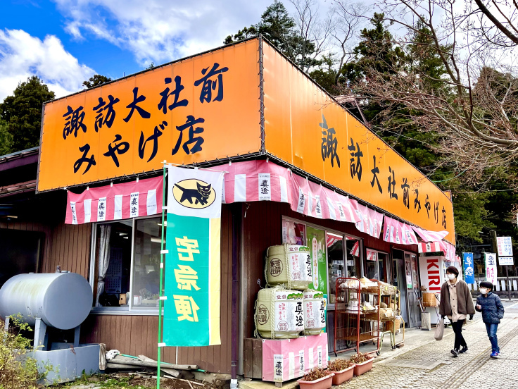 諏訪大社巡り前半★諏訪湖への旅 11/23_c0212604_06190897.jpeg