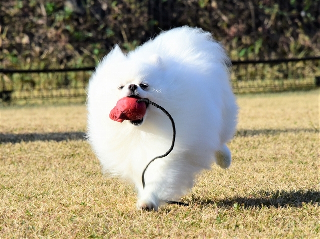 しつこいけど見て!_d0360206_19345824.jpg