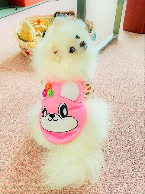 しつこいけど見て!_d0360206_19350472.jpg