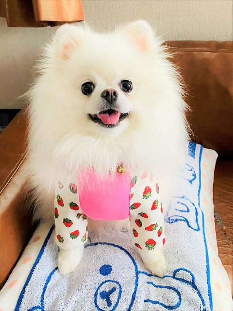 しつこいけど見て!_d0360206_19350480.jpg