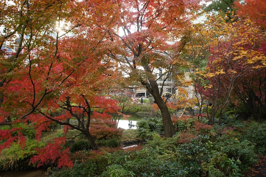 六本木ヒルズ 毛利庭園の紅葉 オートクチュールの旅日記