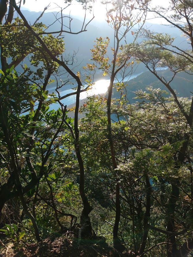 新宮速玉大社～千穂ヶ峰～神倉神社_f0064415_20462492.jpg