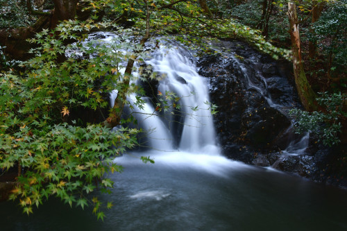 七つ滝_c0093046_12453341.jpg