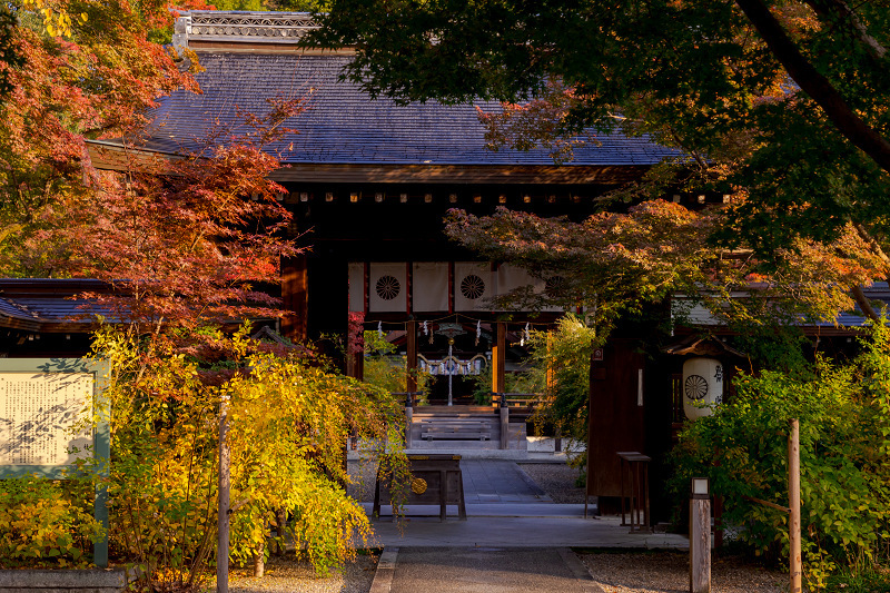 2021紅葉輝く京都 梨木神社と廬山寺の朝 : 花景色－K.W.C. PhotoBlog
