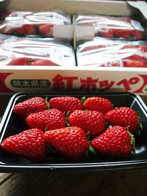 令和3年度の熊本イチゴ先行予約受付スタート!第2弾!こだわりのイチゴ『完熟紅ほっぺ』_a0254656_17261382.jpg