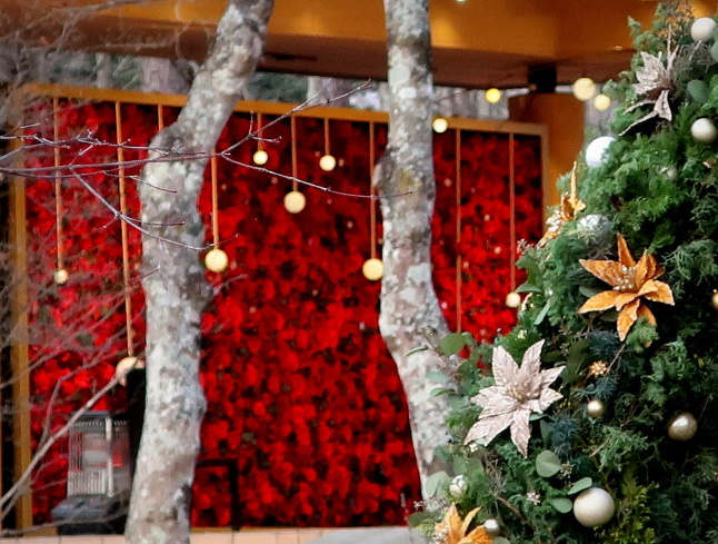 軽井沢高原教会100周年 ＊ 星降る森のクリスマス・2021☆彡_f0236260_15482963.jpg