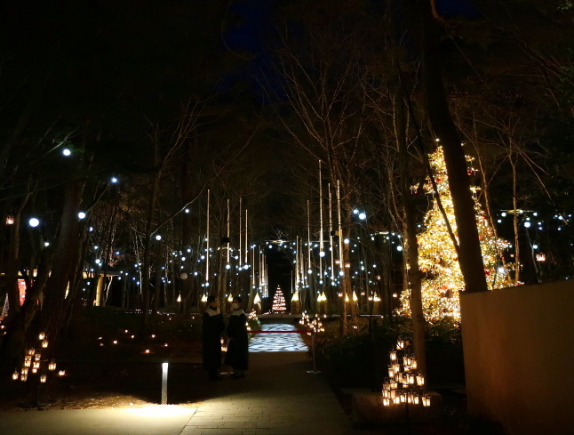 軽井沢高原教会100周年 ＊ 星降る森のクリスマス・2021☆彡_f0236260_16094377.jpg