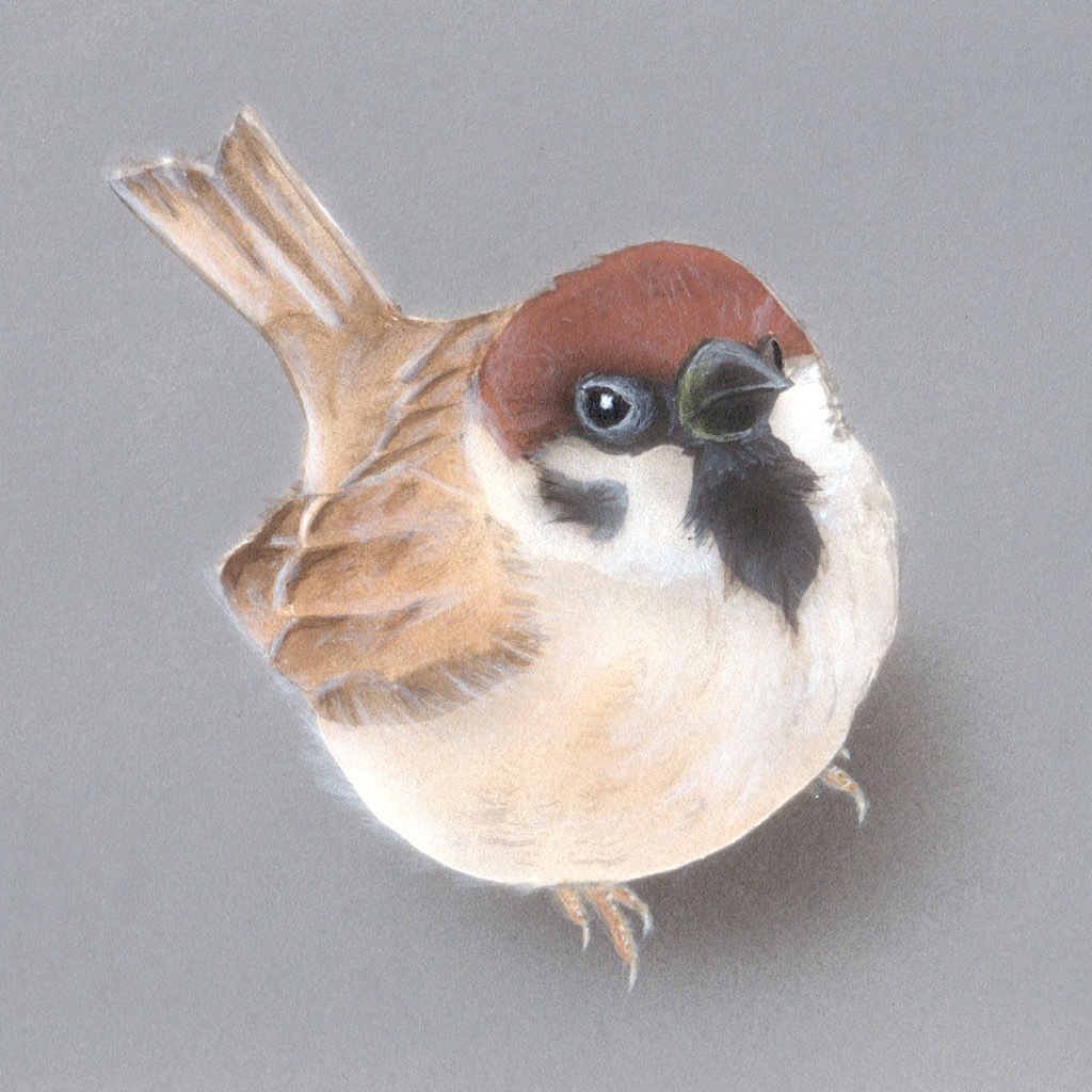 『癒しの萌獣』_a0021565_01414223.jpg