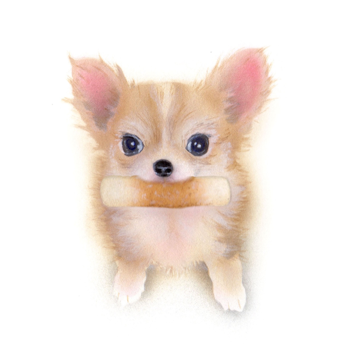 『癒しの萌獣』_a0021565_01425481.jpg