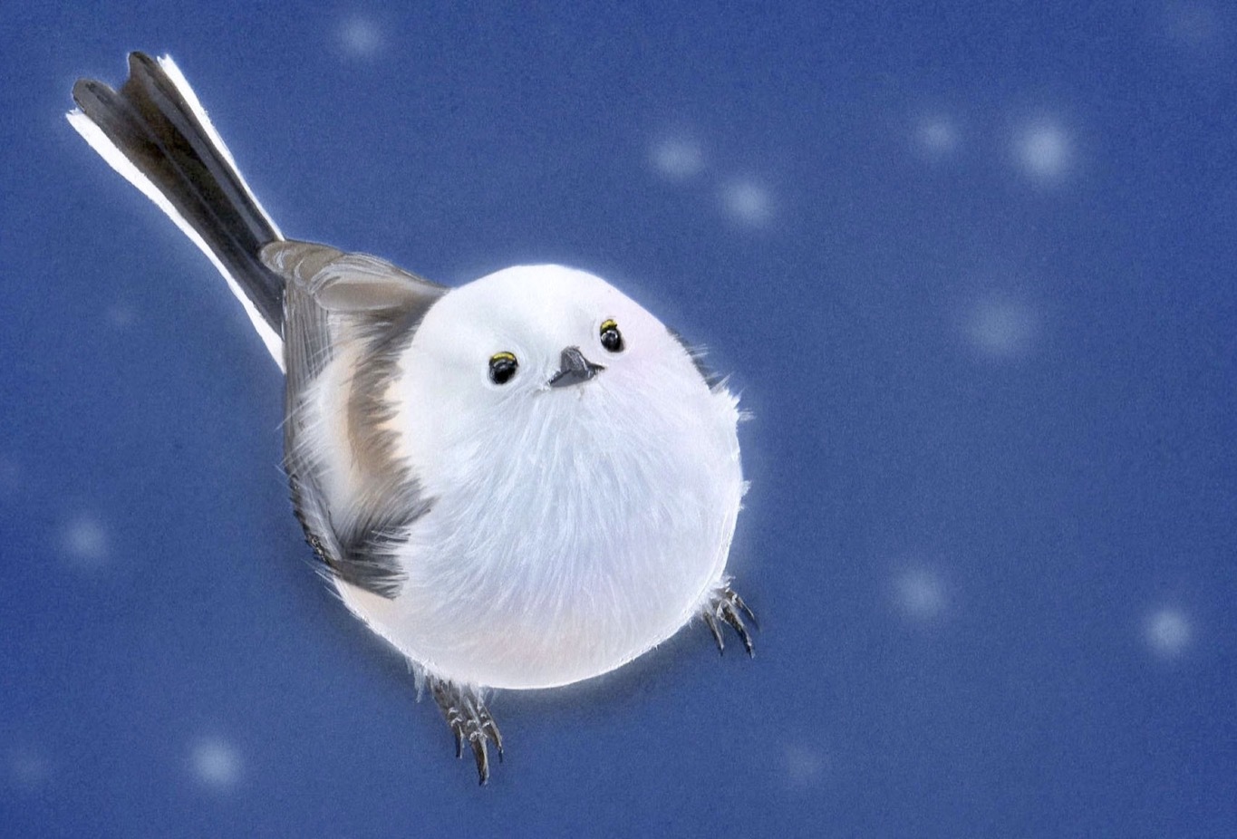 『癒しの萌獣』_a0021565_01531626.jpg