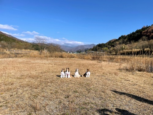 片品村で遊びまくり!_a0157174_17003939.jpg