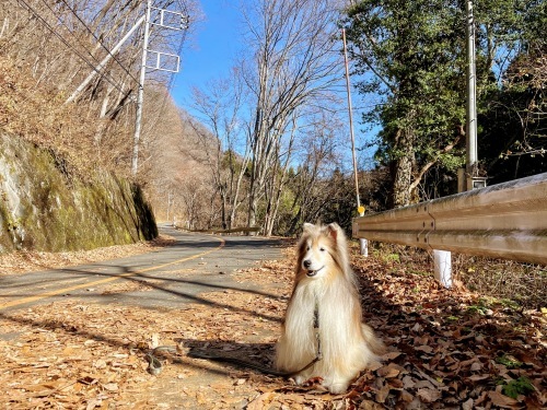 片品村で遊びまくり!_a0157174_17213929.jpg