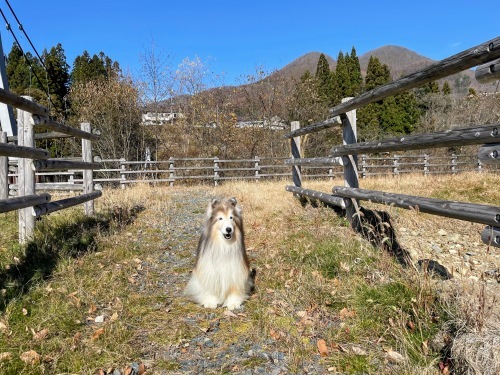 片品村で遊びまくり!_a0157174_17231465.jpg