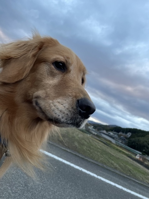水曜日終了。_a0394574_19253412.jpeg