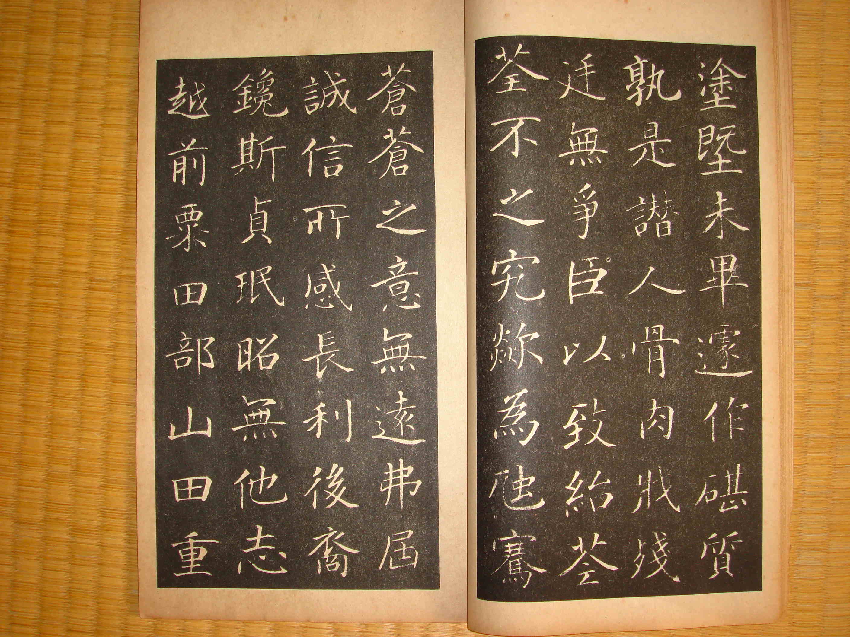 菘翁（貫名苞） 山田公雪冤碑 : syodou