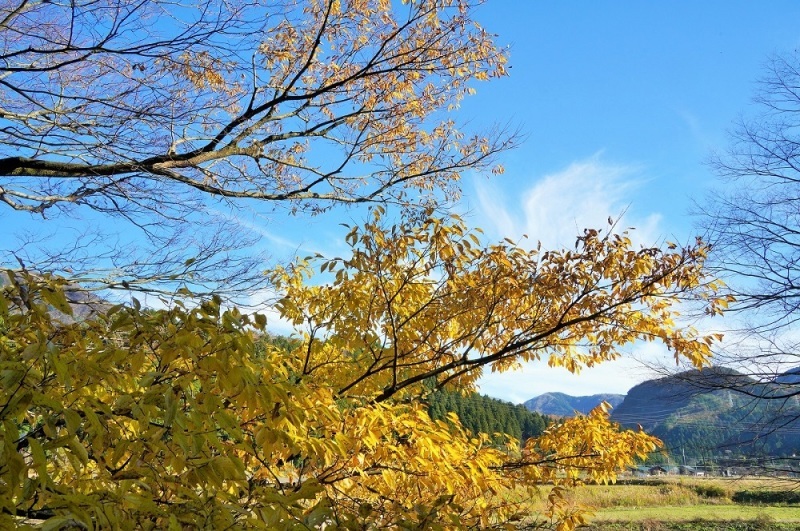 三国から丸岡竹田まで・・・ぶらり_d0234293_06493011.jpg