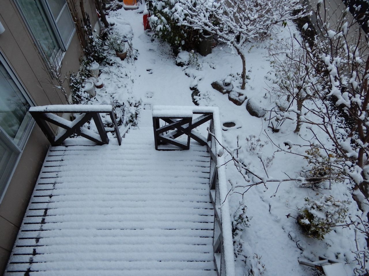 ついに本格的な雪景色の朝_c0025115_20382401.jpg