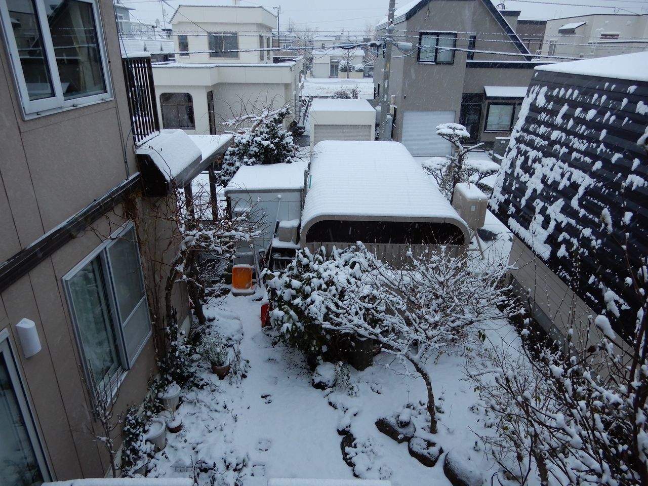 ついに本格的な雪景色の朝_c0025115_20382694.jpg