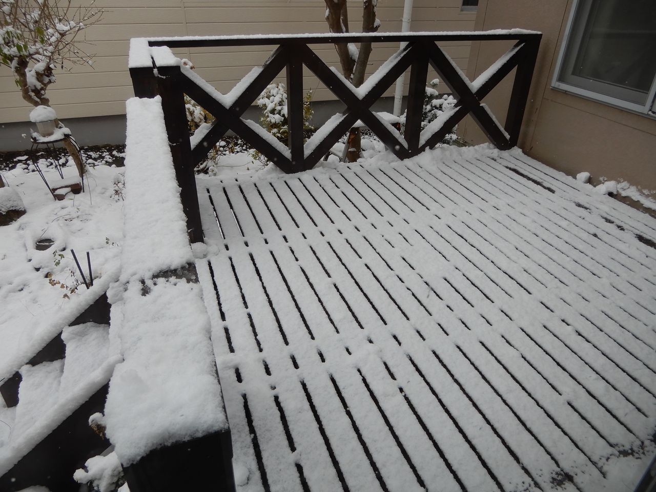 ついに本格的な雪景色の朝_c0025115_20383139.jpg