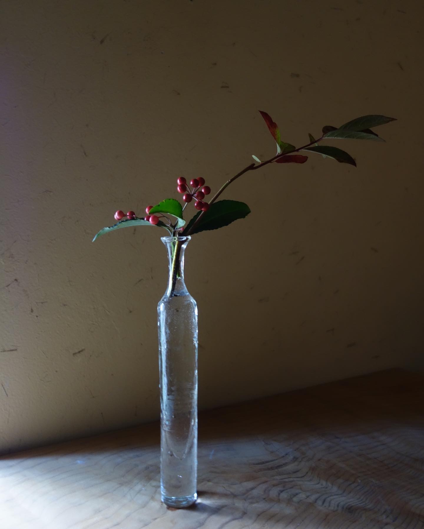 師走に突入_a0197730_20151848.jpeg
